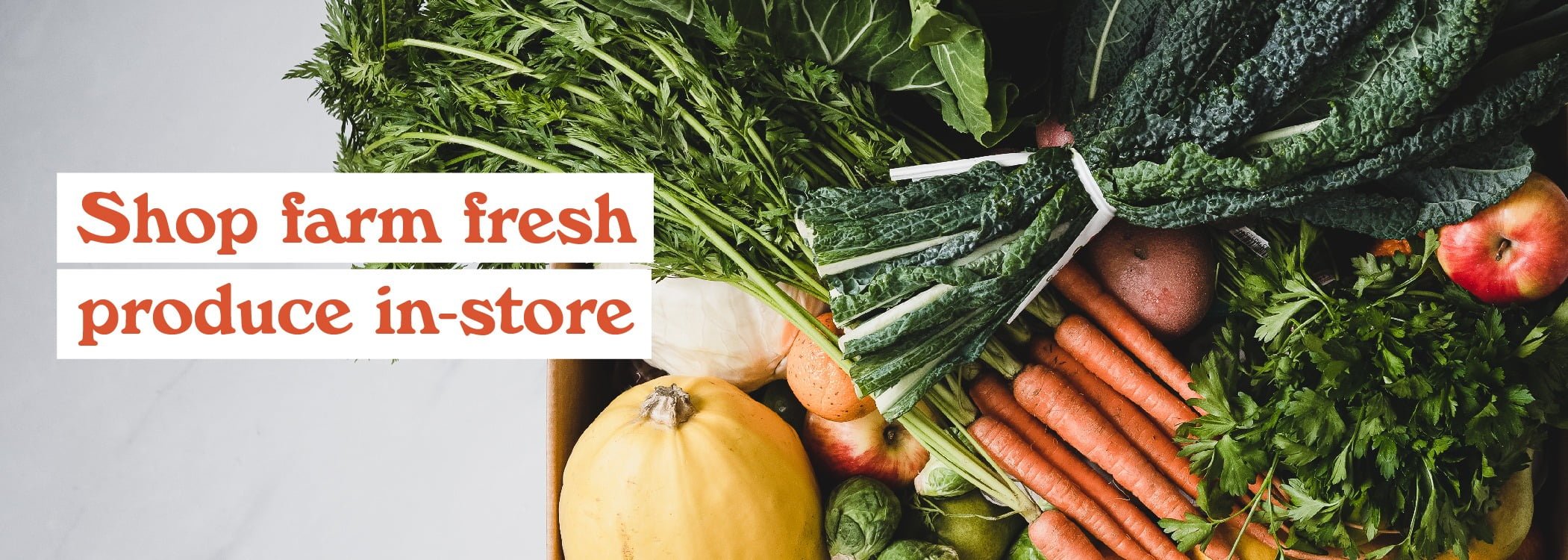 Flyer Banners 1_Flyer 2 BL (1)