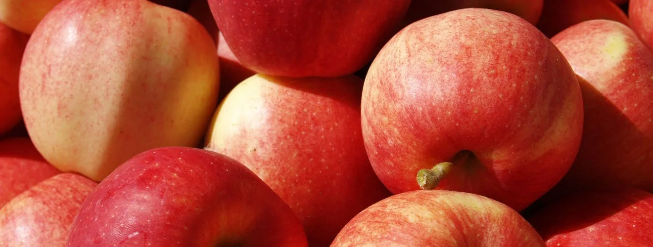 Fresh organic gala apples at Blush Lane Organics in Calgary and Edmonton, Alberta.