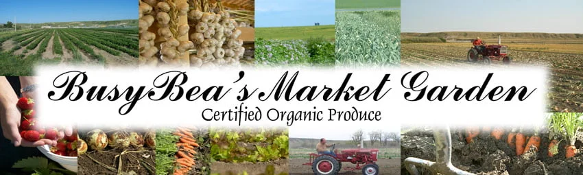 Busy Bea's Market Garden - Certified Organic Produce