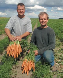 Leffers carrots