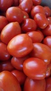 organic roma tomatoes from lina's garden