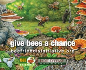 bees-blush-lane-square