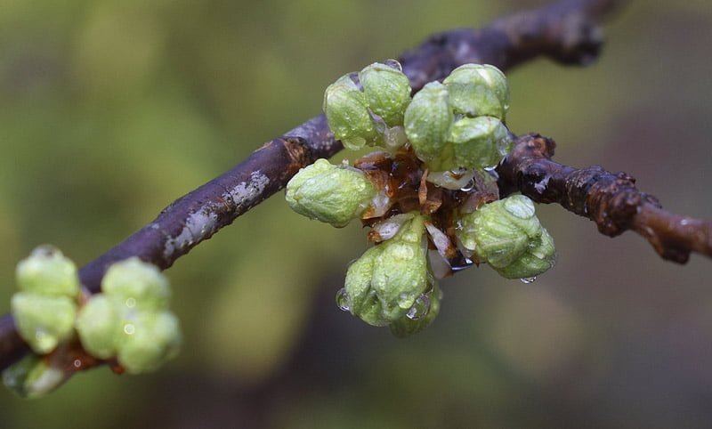 Spring renewal for your body and home