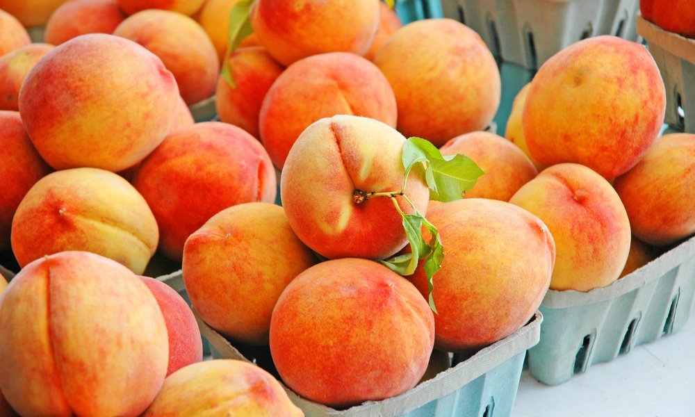 What’s The Fuss About Fuzz: Why Do Peaches Even Have Fuzz?!