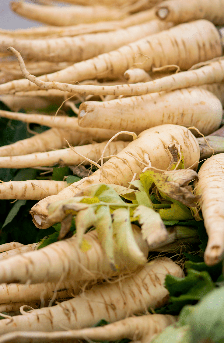 pile of parsnips