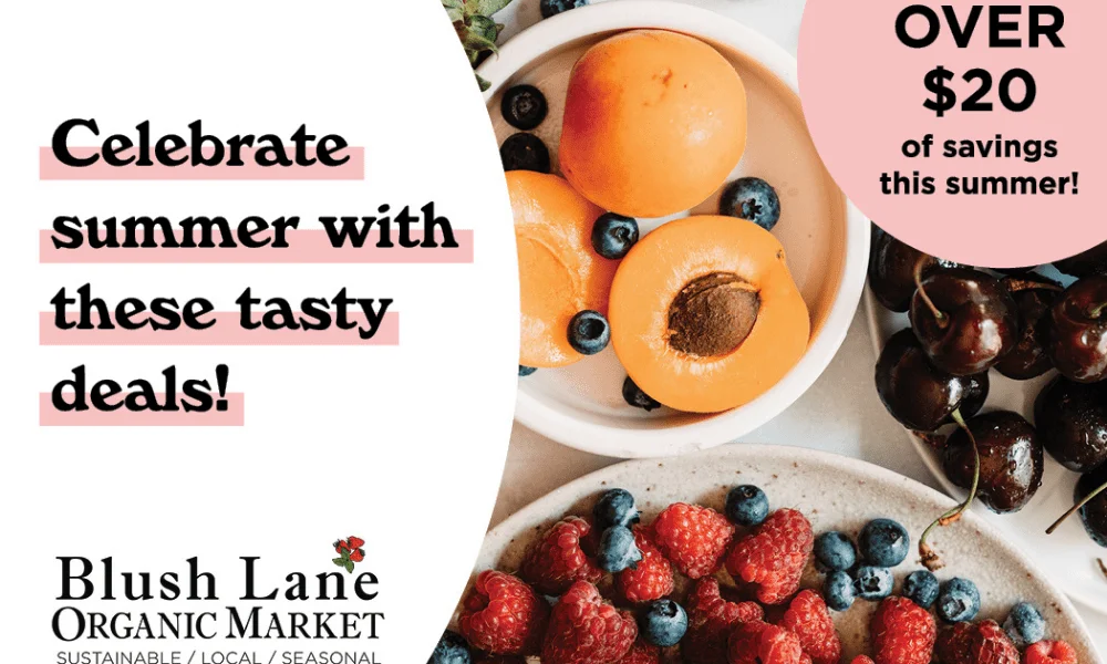 Summer savings blog banner