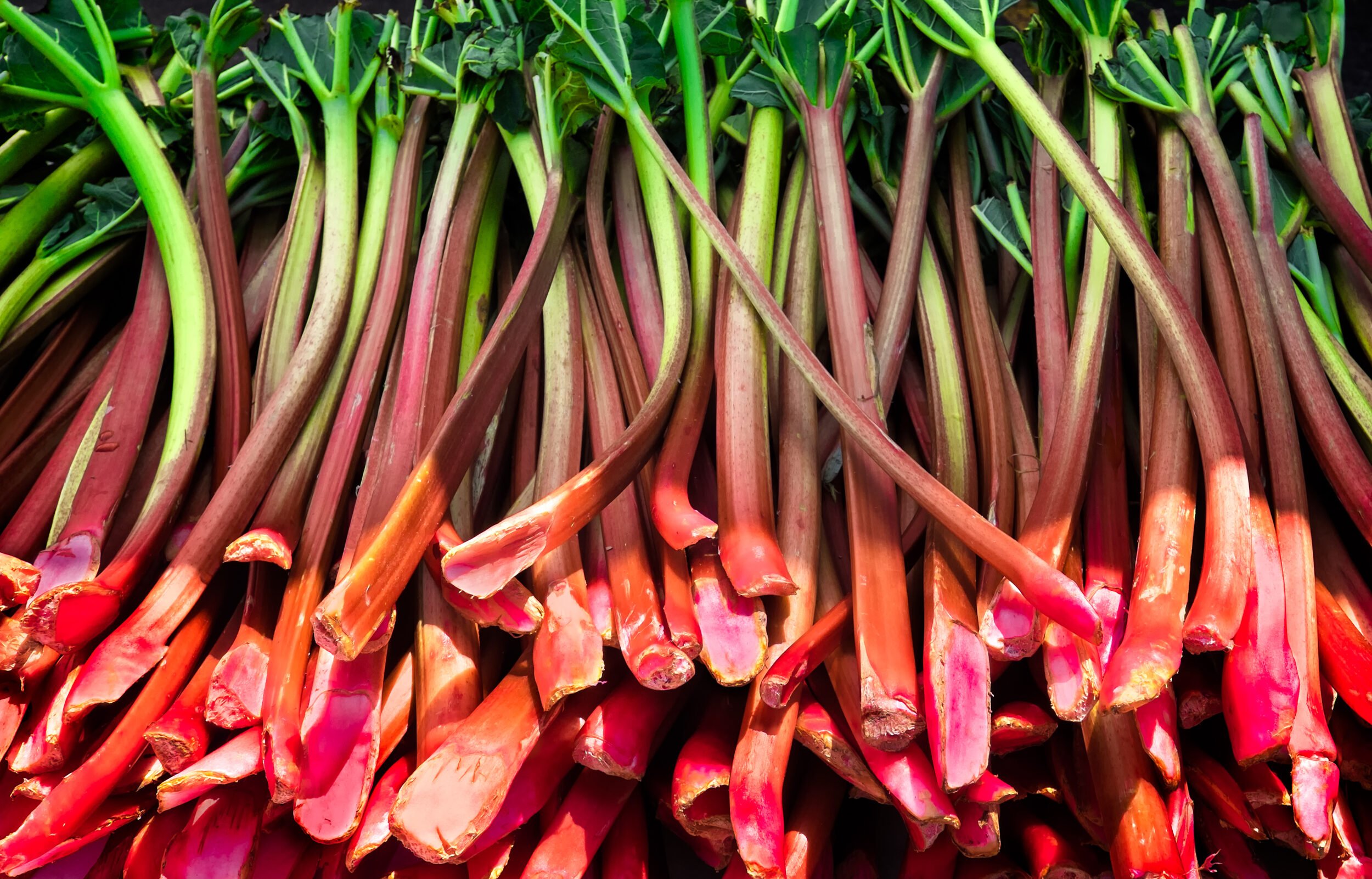5 Unique Rhubarb Recipes Other Than a Pie